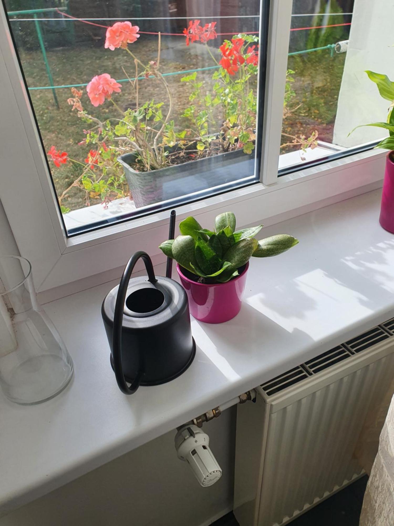 Apartmán Kamienica Nowodworska 30 Bydhošť Pokoj fotografie